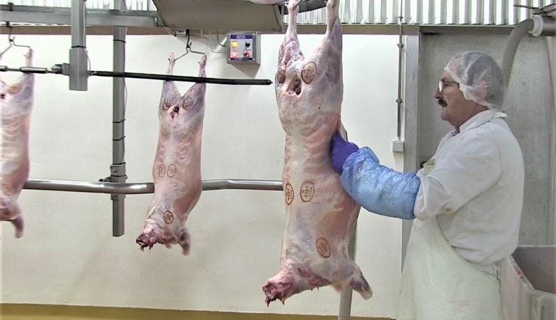 Engir slátrarar koma til SS frá Nýja-Sjálandi í ár