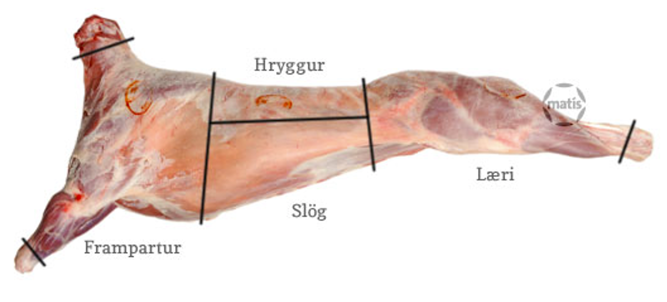 Upplýsingar uppfærðar um lambakjöt