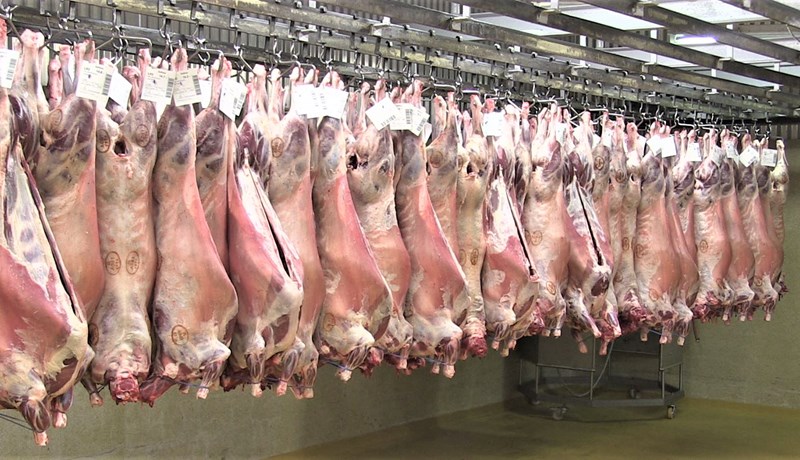 Rúmlega þriðjungur skrokkanna rangt flokkaðir