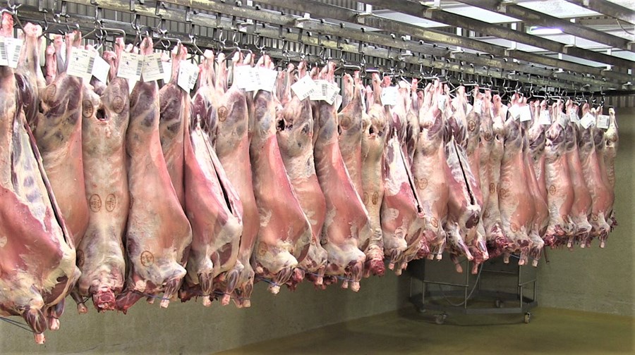 „Mér finnst þessi niðurstaða, 36% frávik, vera mjög hastarleg, sérstaklega í ljósi þess að einhver eða einhverjir hafa fyrr í haust kært matið hjá SS og fengið talsvert frávik,“ segir Sigríður Jónsdóttir í Arnarholti. 