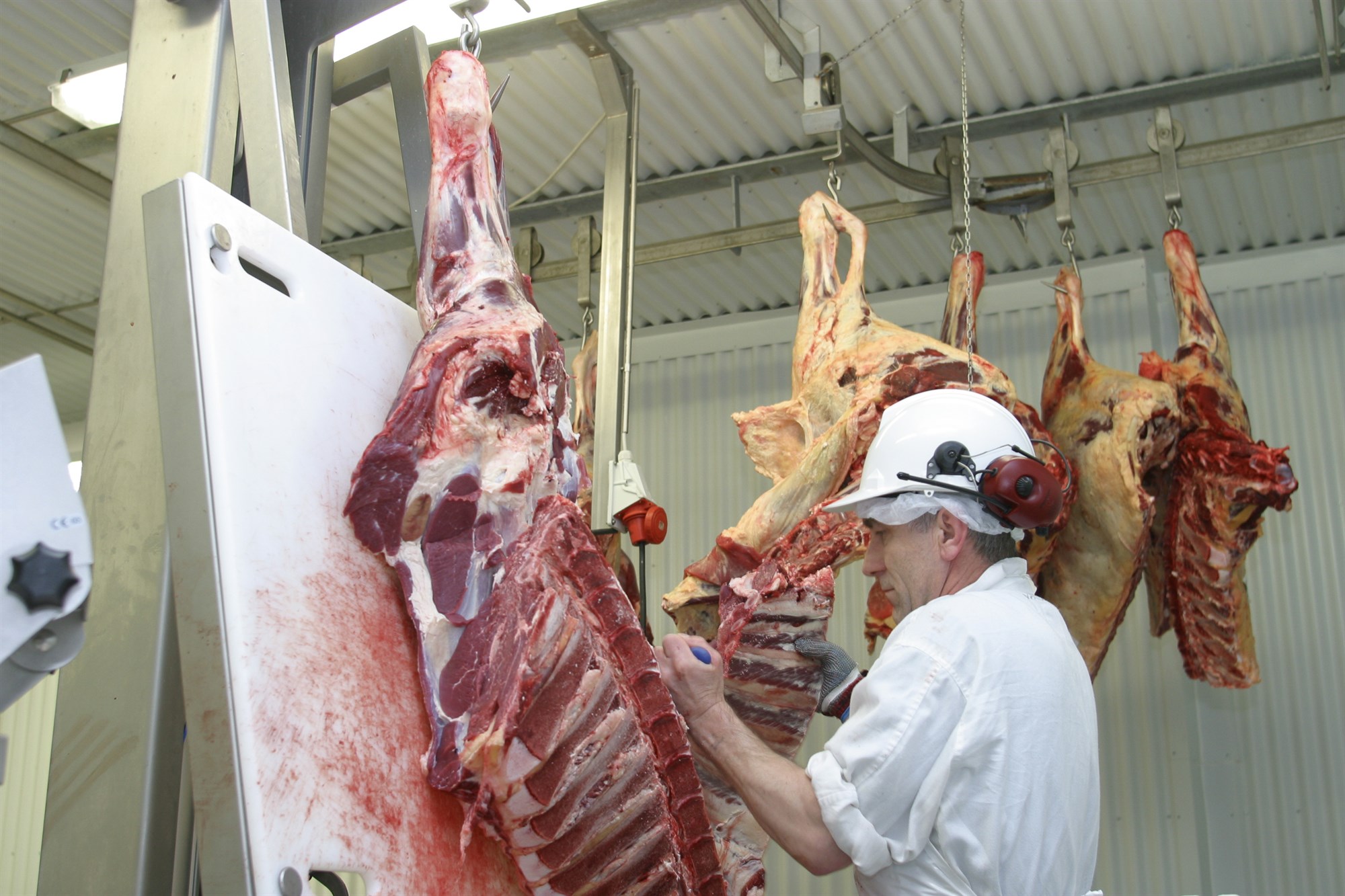 Frumvarp um samvinnu kjötafurðastöðva