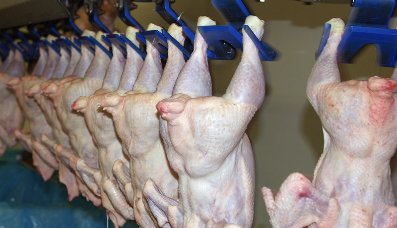 Hlutdeild innflutnings á kjötmarkaði hefur mest aukist í alifuglakjöti