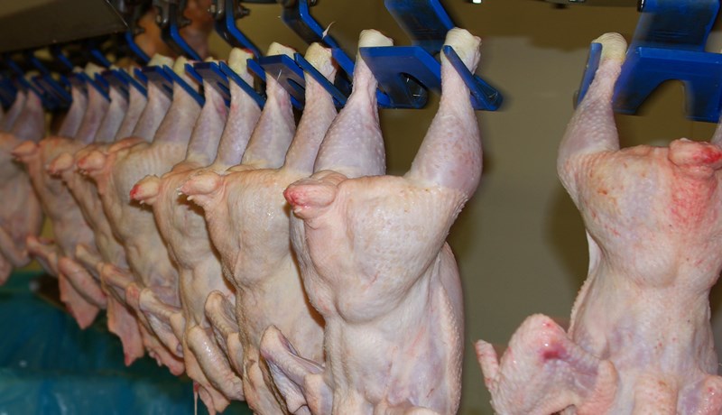 Alifuglakjötið trónir á toppi kjötsölunnar á Íslandi