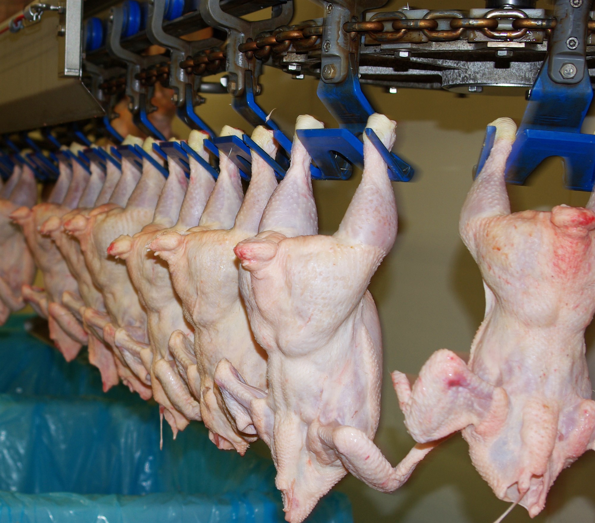 Samdráttur í kjötsölu nam 9,1% í sumar og 4% að meðaltali yfir 12 mánaða tímabil