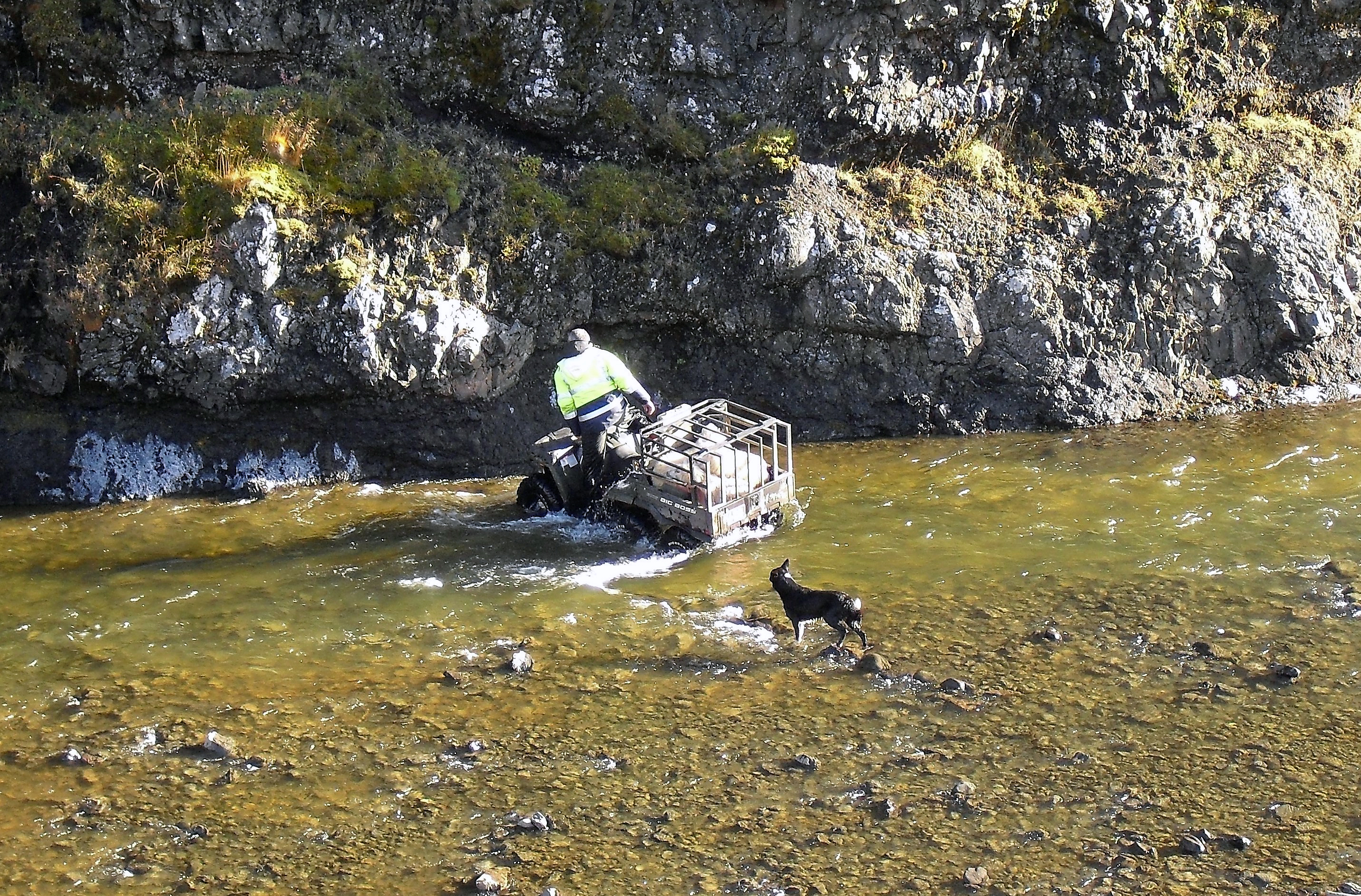 Alltaf eitthvað nýtt að gera og um leið að varast