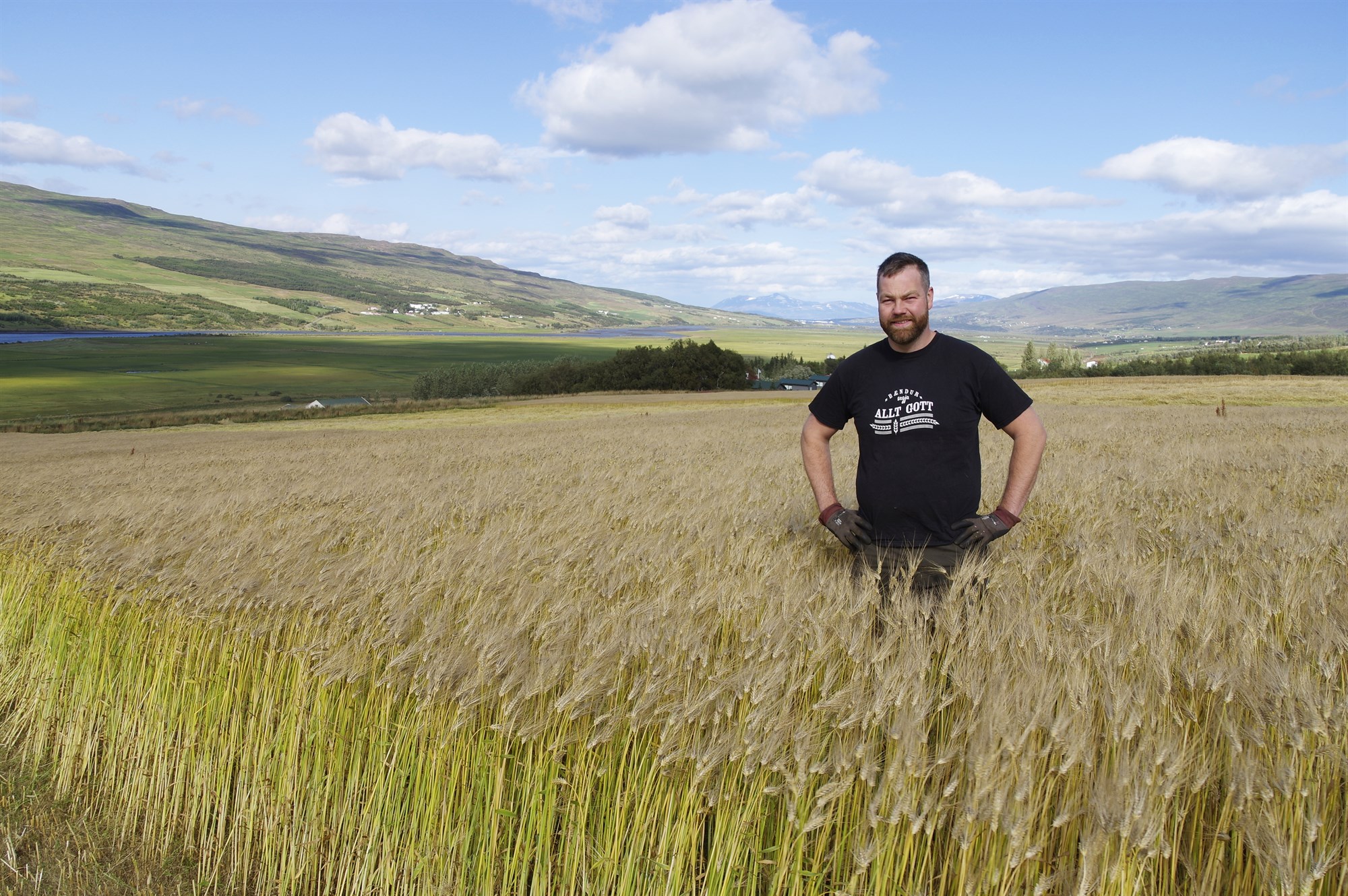 Bóndinn á Klauf með allt að 8 tonn af byggi á hektara