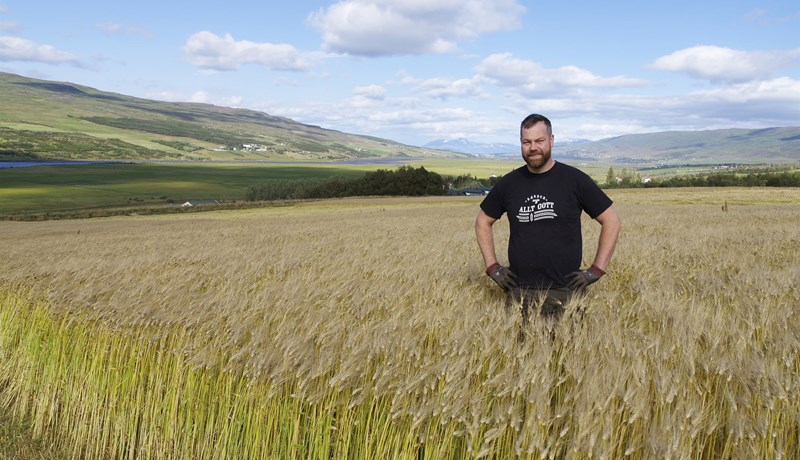 Bóndinn á Klauf með allt að 8 tonn af byggi á hektara