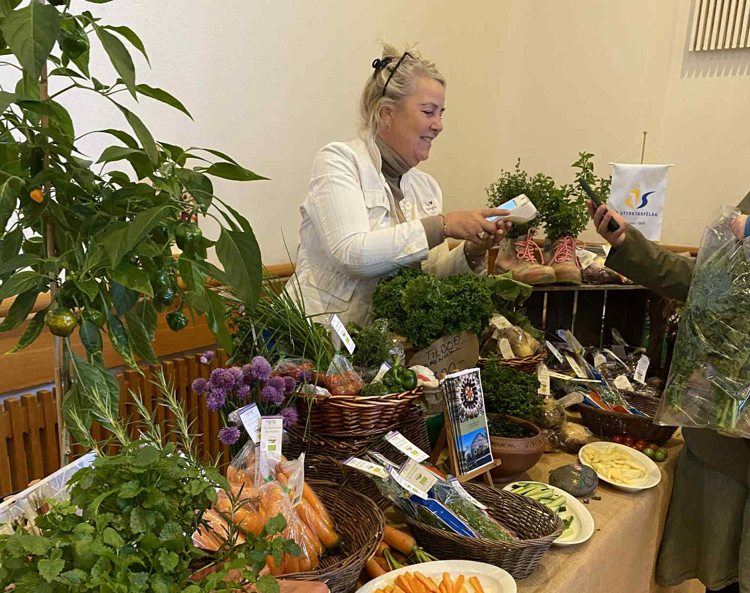 Lífræni dagurinn haldinn hátíðlegur í fjórða sinn