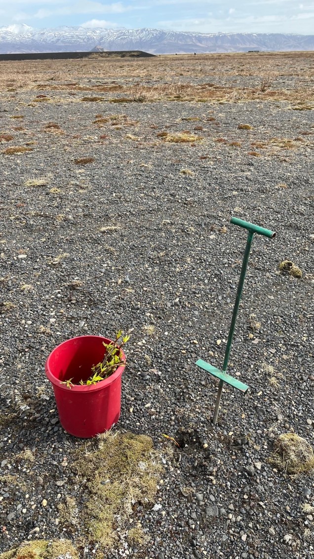 Kolefniseiningar tilvonandi tekjustoð í búrekstrinum