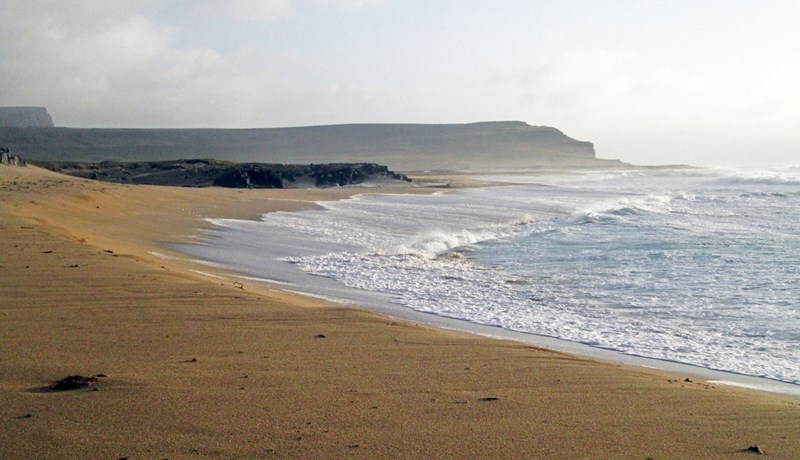 Ofbeit í sjó veldur spjöllum á landi