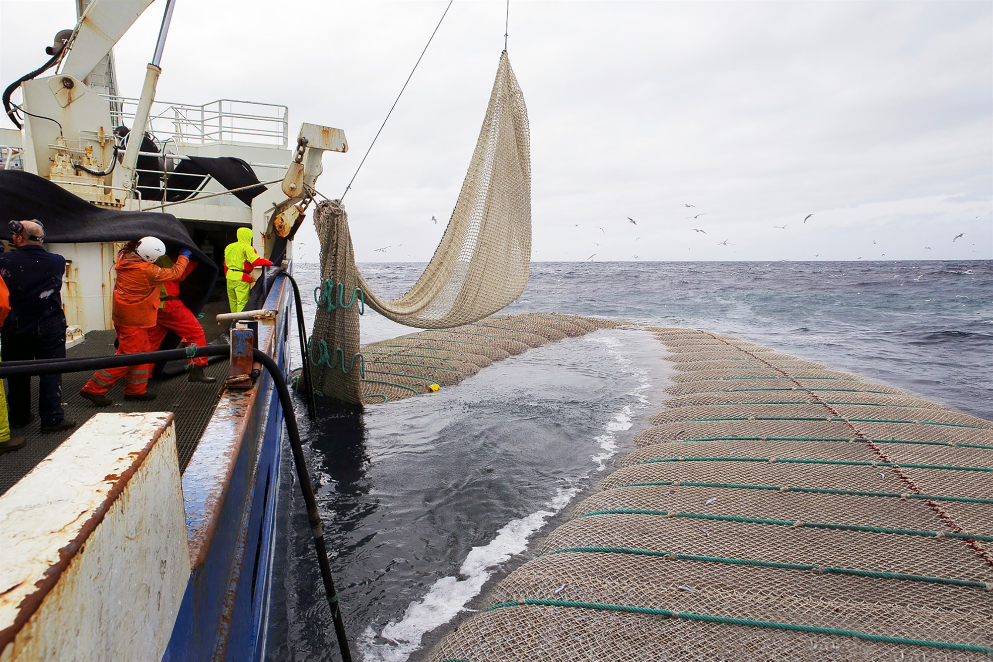 Sögulega lítið hráefni í boði