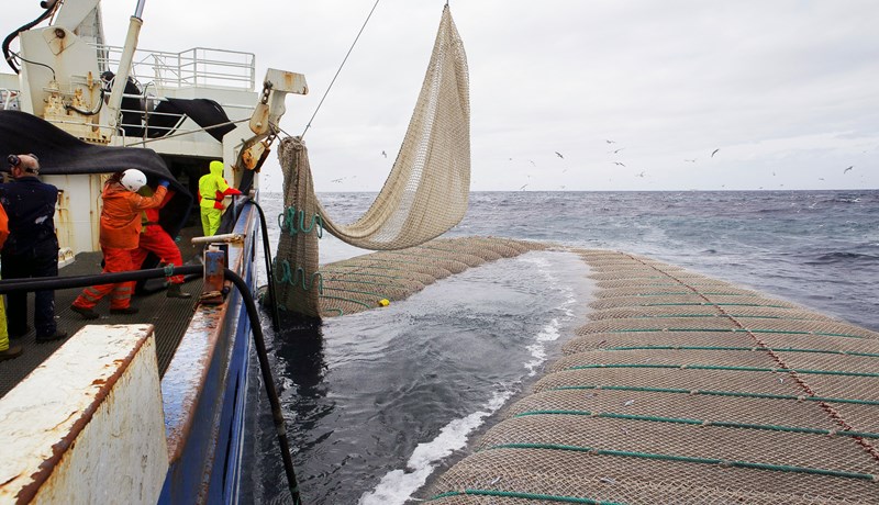 Um 10% aflaverðmæta utan lögsögu