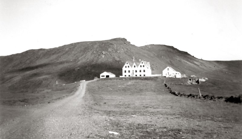 Forystu-Svartur í blindbyl á Hellisheiði