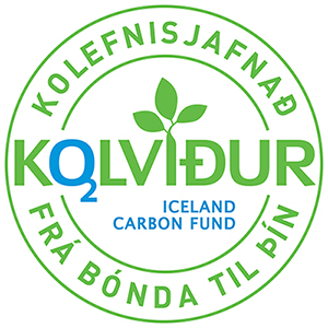 Að fullu kolefnisjafnað