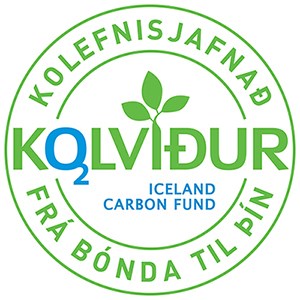 Að fullu kolefnisjafnað