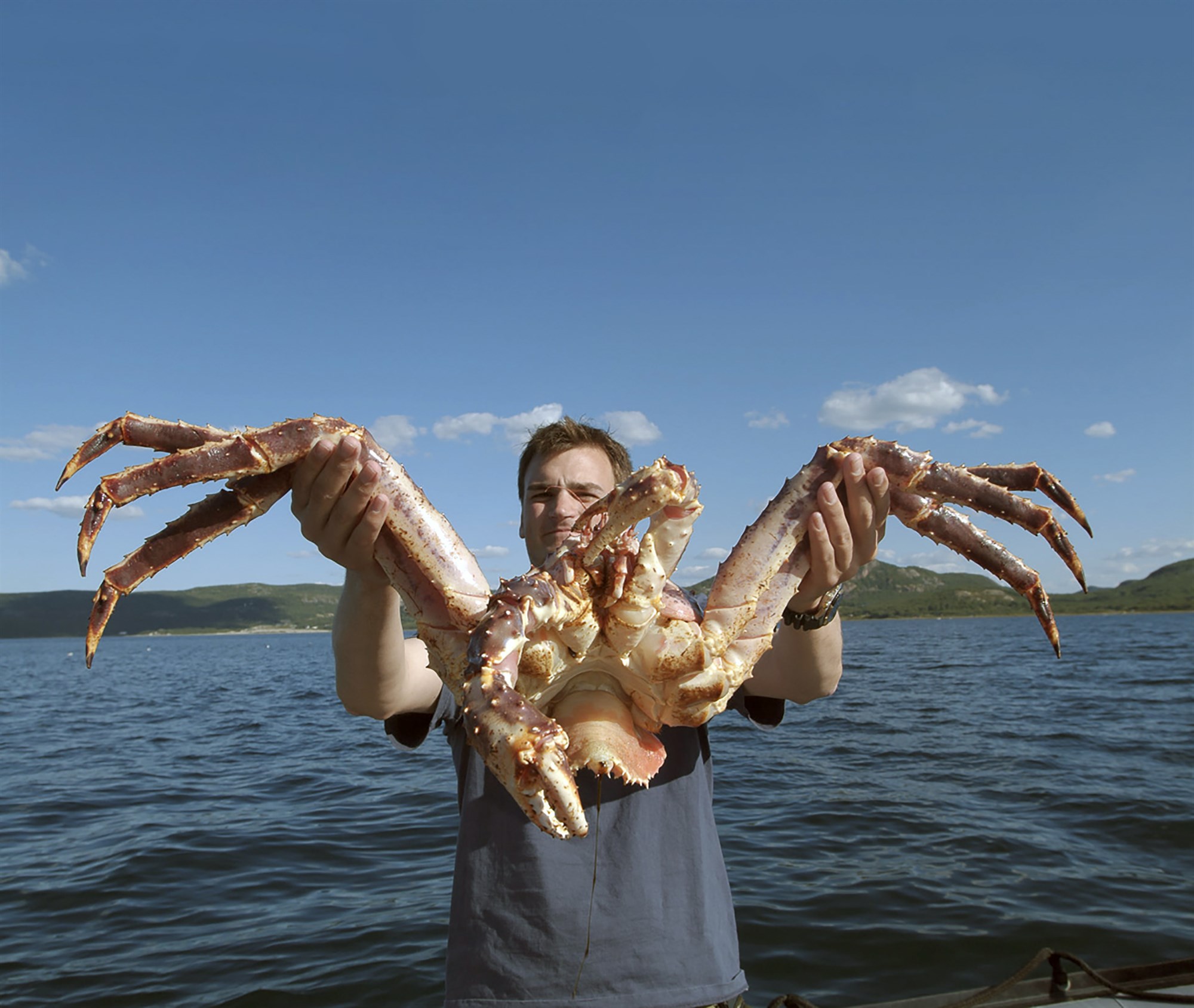 Auðlind eða umhverfisslys