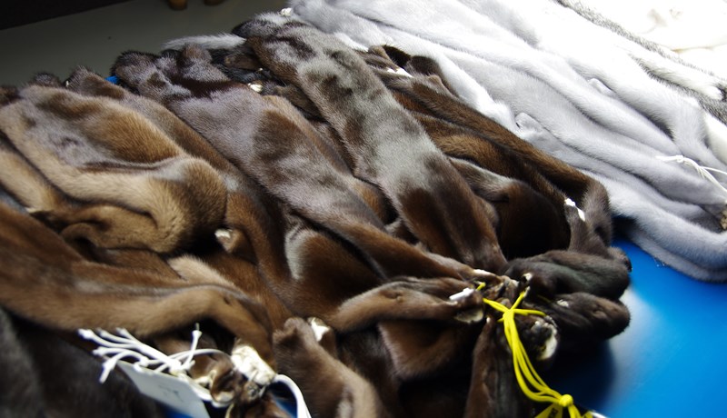 Þriðja uppboðið í röð sem verð lækkar