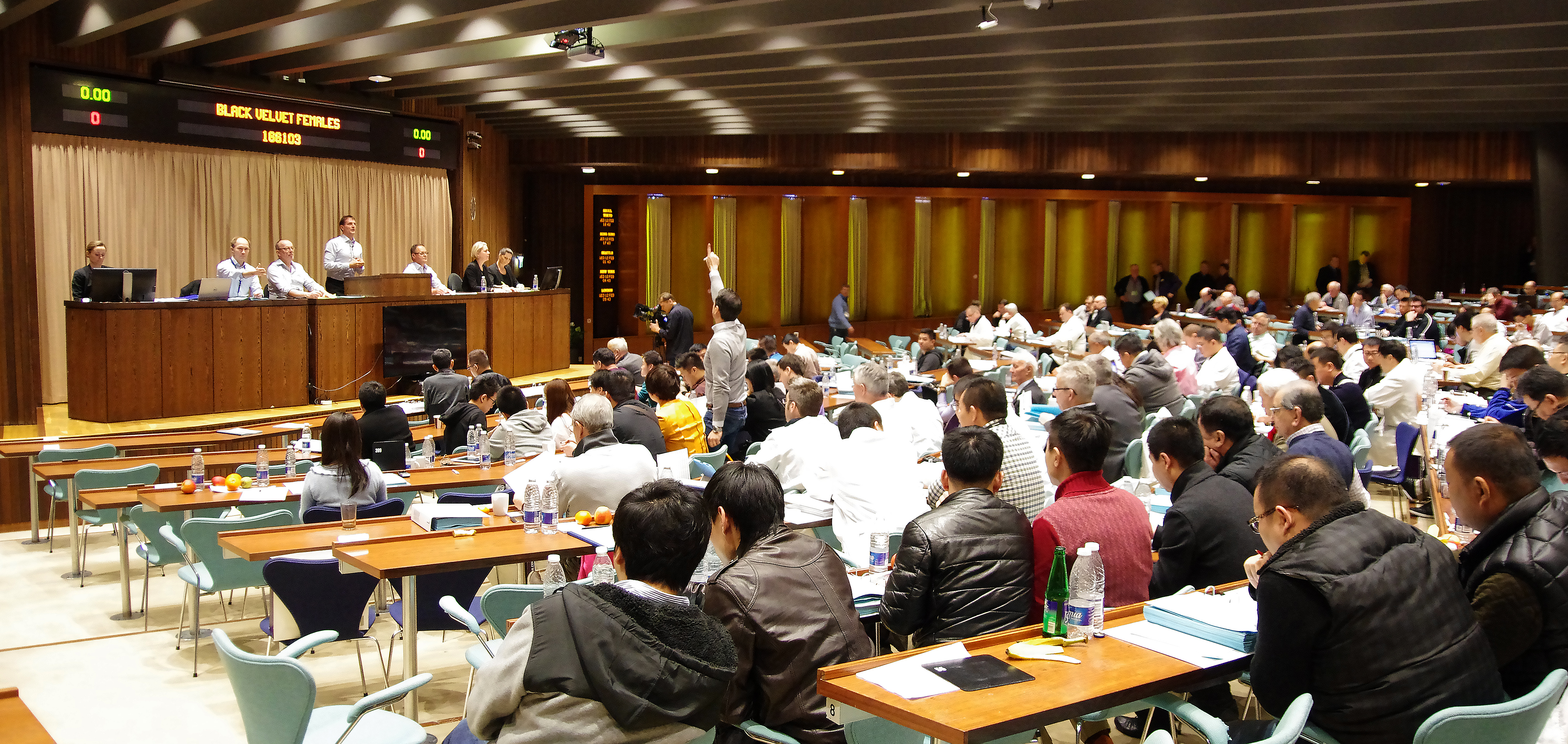 Skinnauppboði frestað í Kaupmannahöfn vegna kórónaveirunnar