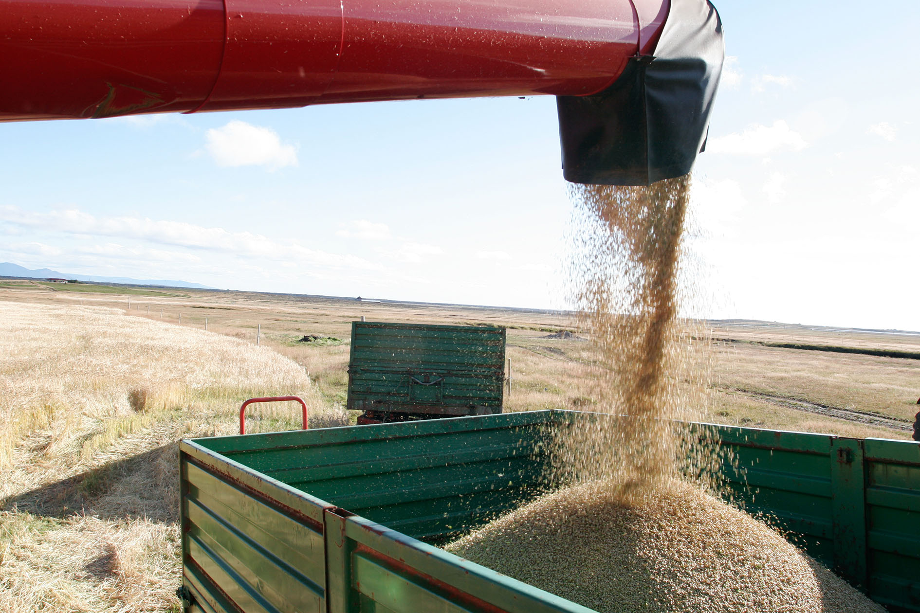 Kornþurrkstöð við Húsavík