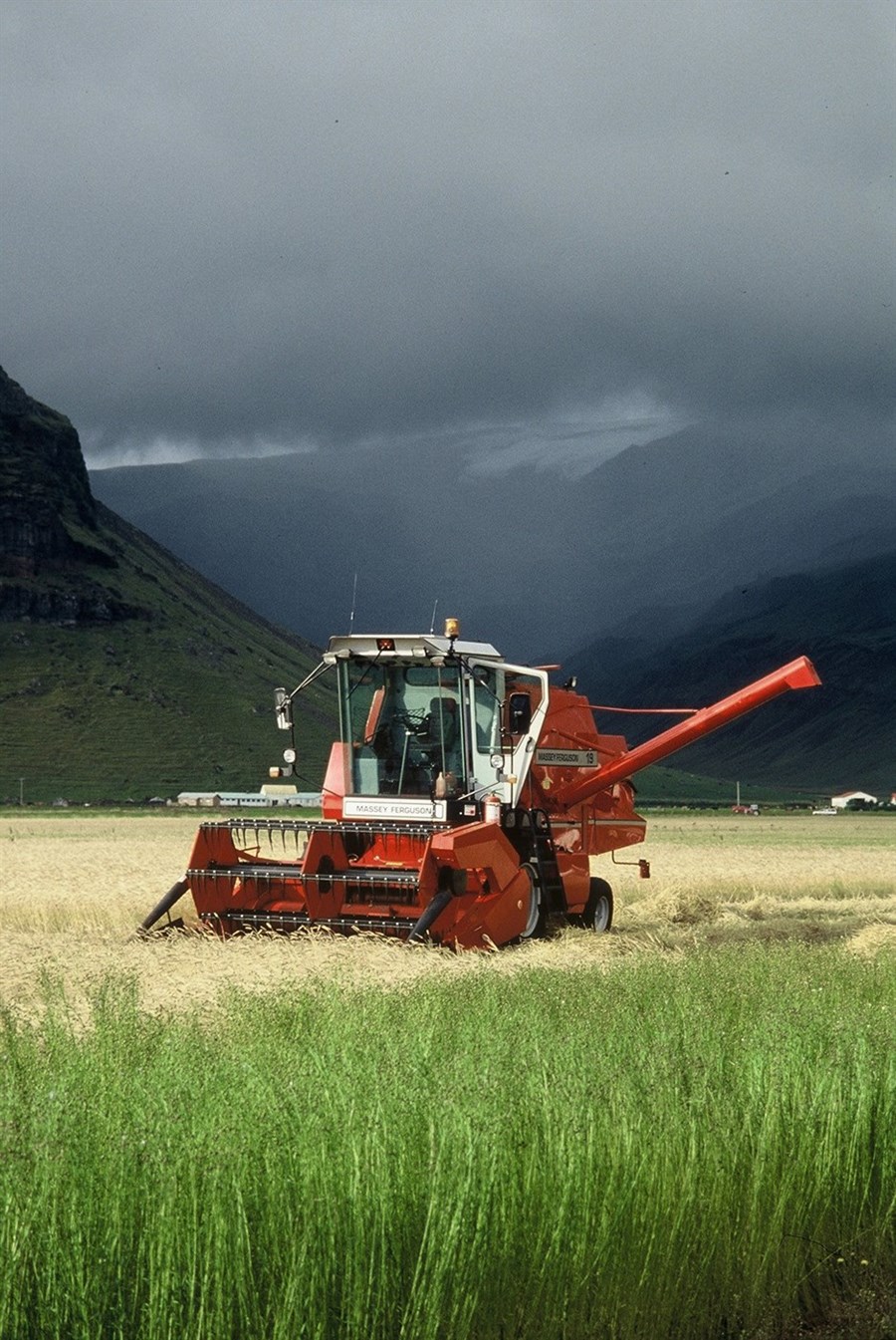 Kornrækt fer vaxandi á Íslandi en þarfnast betri stuðnings og áherslu á
ræktun til manneldis út frá fæðuöryggissjónarmiðum.
