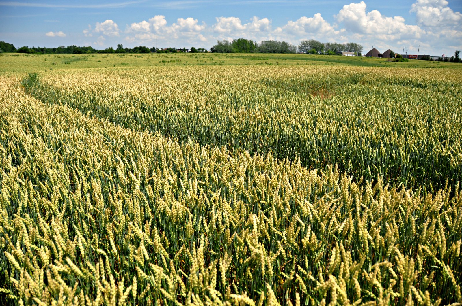 Verð hefur lækkað