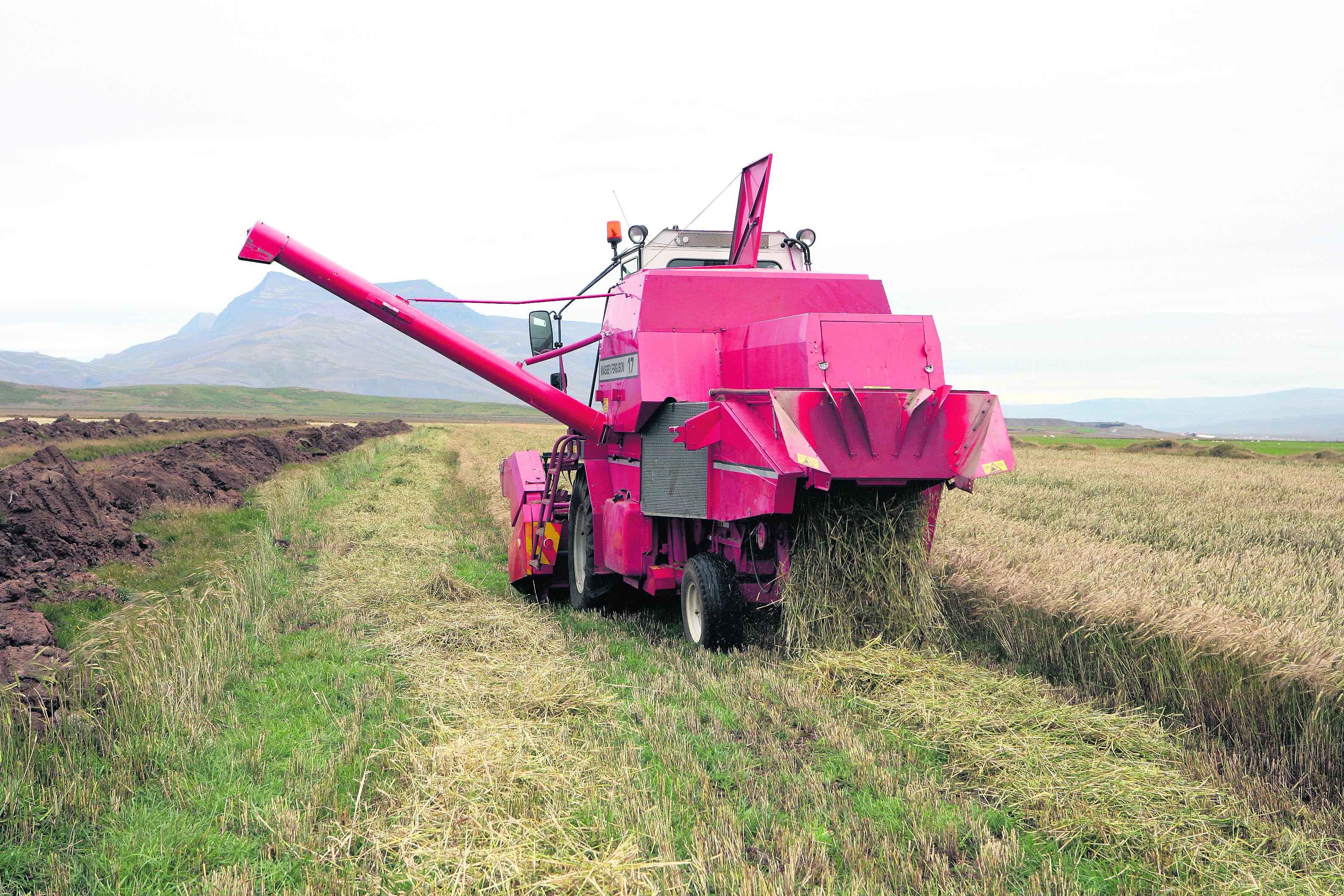 RML uppf&#230;rir lei&#240;beiningar til b&#230;nda vegna n&#253;rra samkomutakmarkana