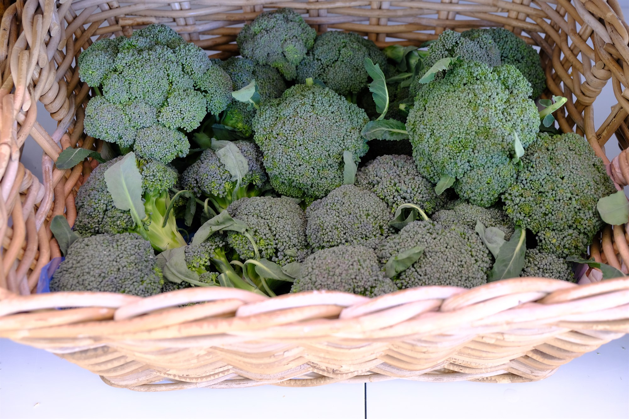 Styrkir greiddir til 50 garðyrkjubænda