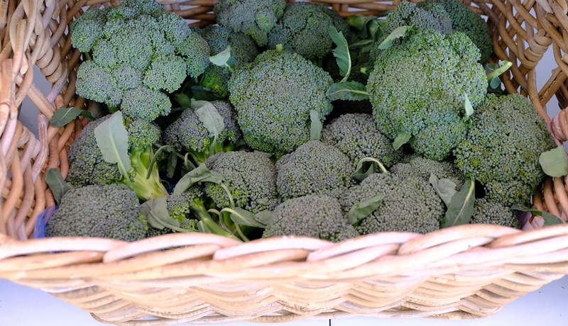 Styrkir greiddir til 50 garðyrkjubænda