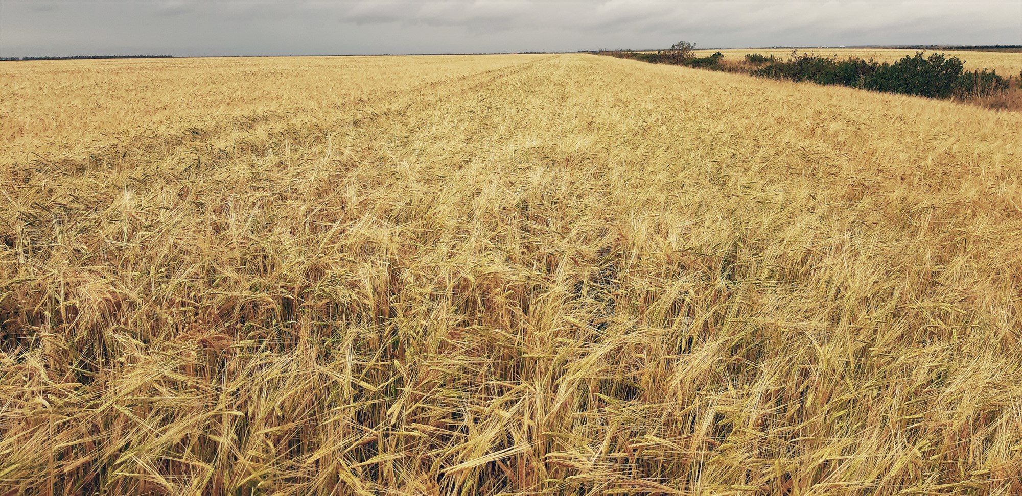 Fæðuöryggi á haustmánuðum