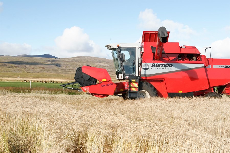 Kornskurður á sunnanverðu Snæfellsnesi. Meðal þess sem fjallað er um í fimm ára aðgerðaáætlununum landbúnaðar- og matvælastefna til 2040 er kornrækt og efling hennar.