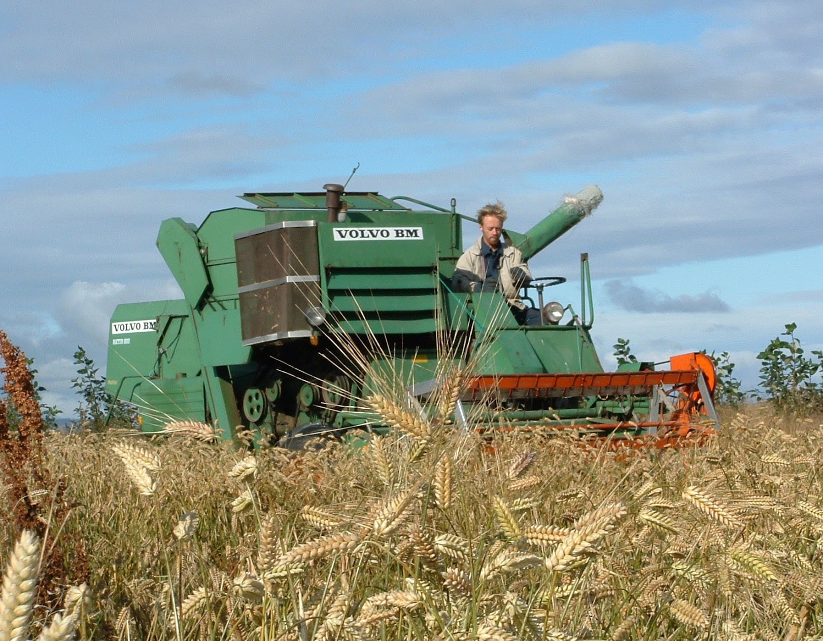 Kornþurrkstöð fyrir allt Austurland