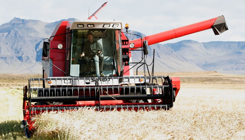 Við erum öll í sama liðinu hvort sem okkur líkar betur eða verr