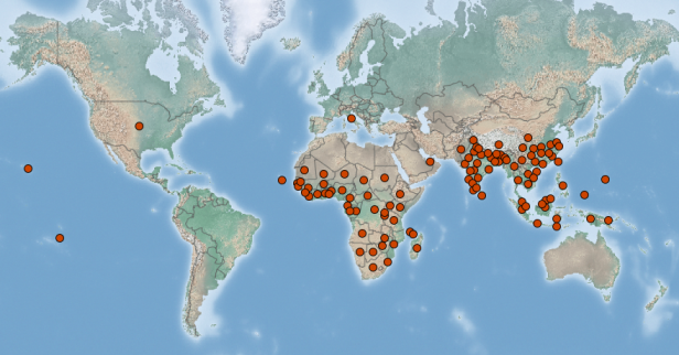 Ágengum og skaðlegum tegundum flugna fjölgar í Evrópu