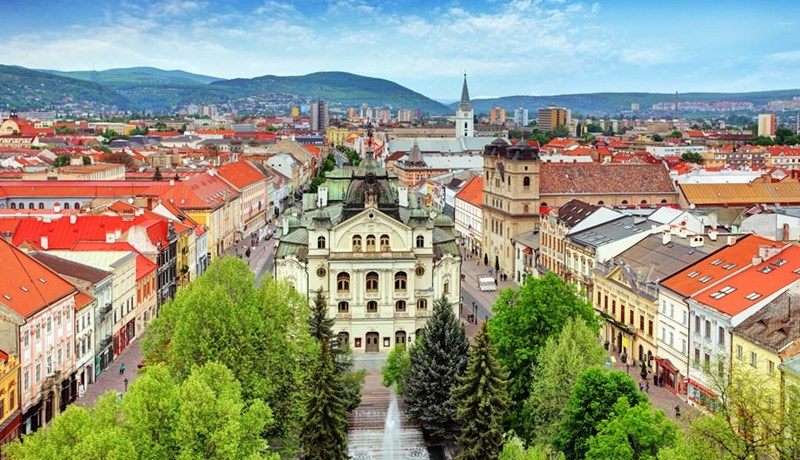 Dýralæknanám í Slóvakíu nýtur vaxandi vinsælda meðal Íslendinga