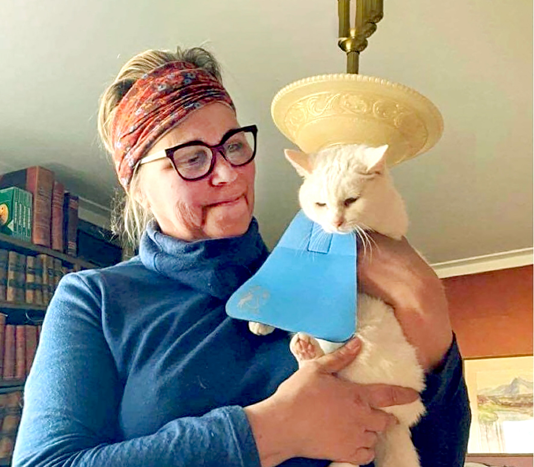 Smekkir á ketti til að þeir veiði ekki fugla