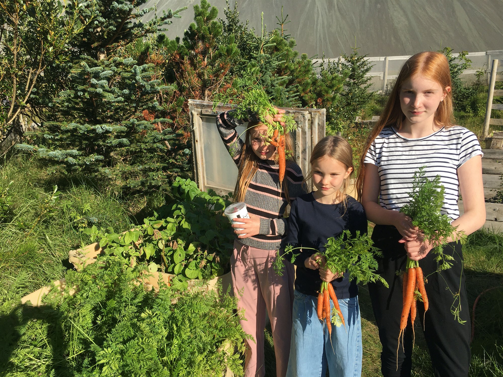 Markmiðið með verkefninu Krakkar kokka að auka matarvitund og matarþekkingu