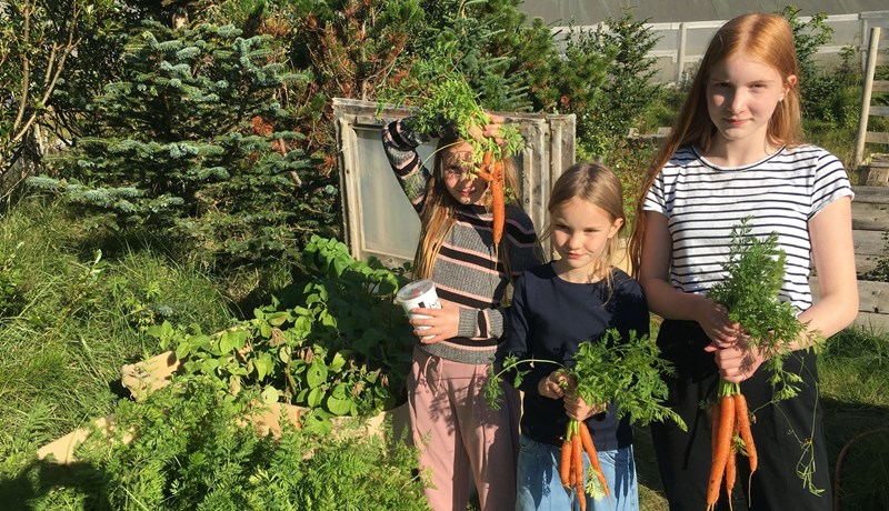 Markmiðið með verkefninu Krakkar kokka að auka matarvitund og matarþekkingu