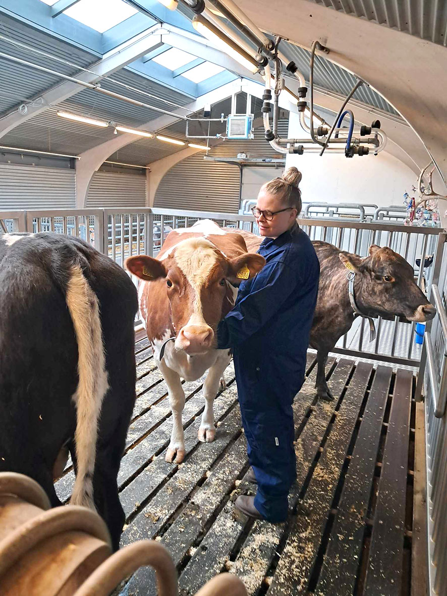 Staða sníkjuormasýkinga metin