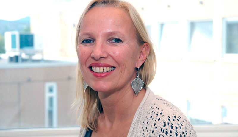 Horfa til trjátrefja í stað plasts