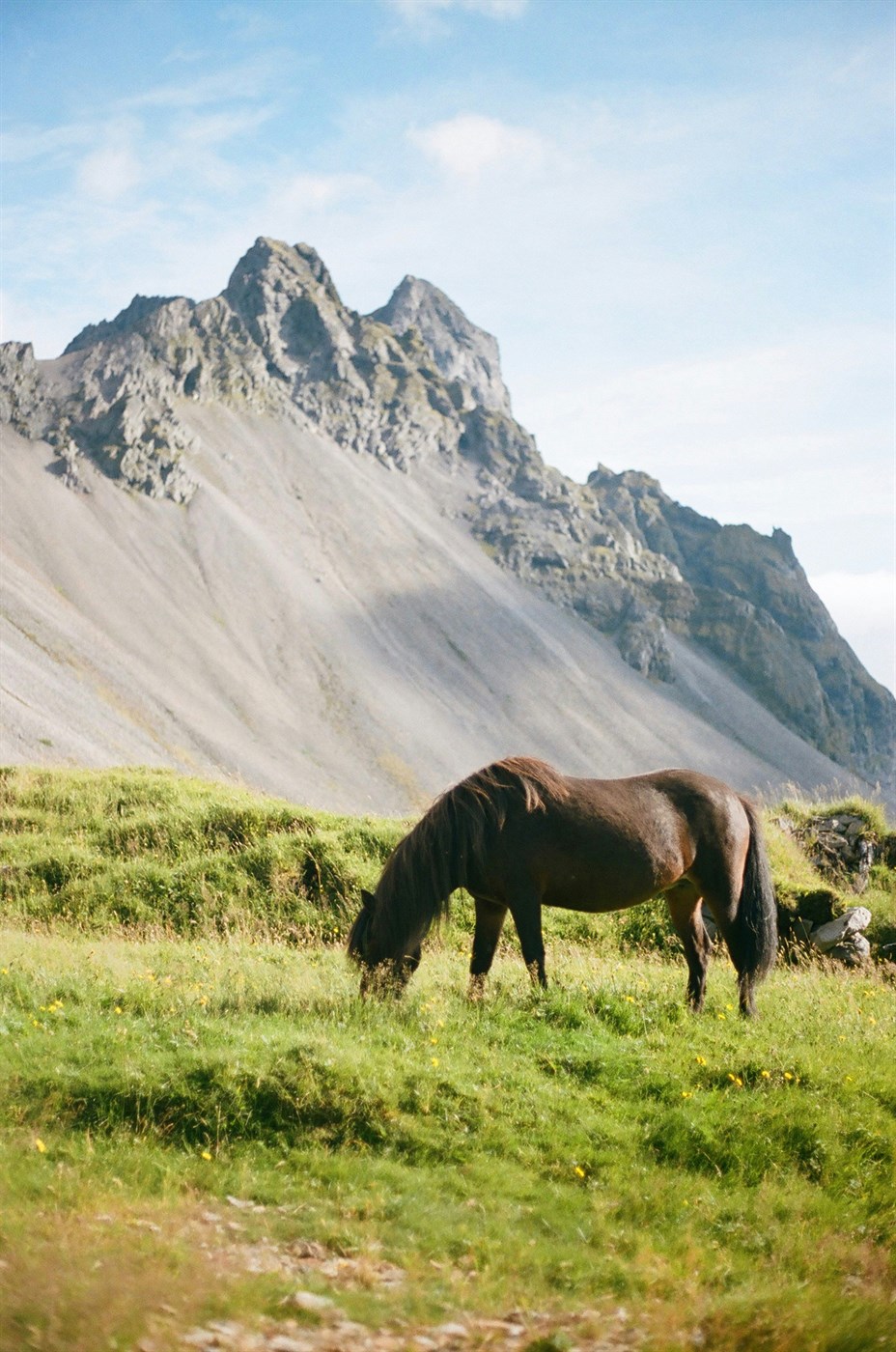 Stofnverndarsjóður lagður niður