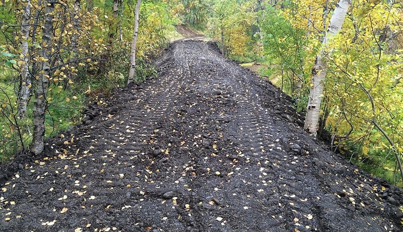Hjólastólafær skógarstígur í Kristnesskógi