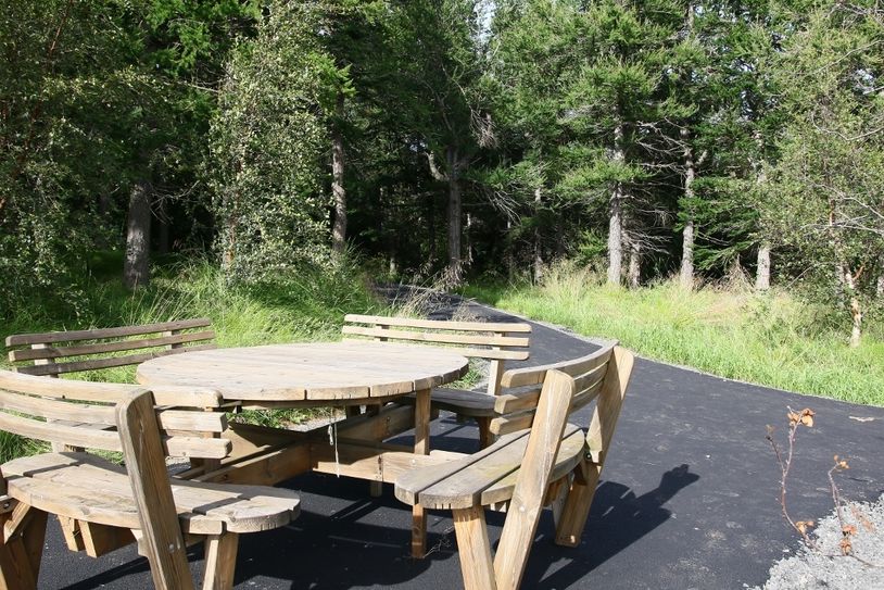 Malbikaður skógarstígur í Kristnesskógi