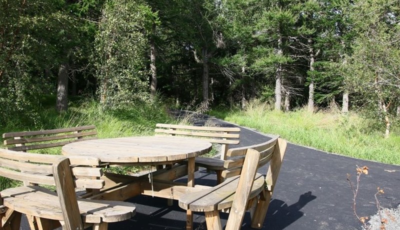 Malbikaður skógarstígur í Kristnesskógi