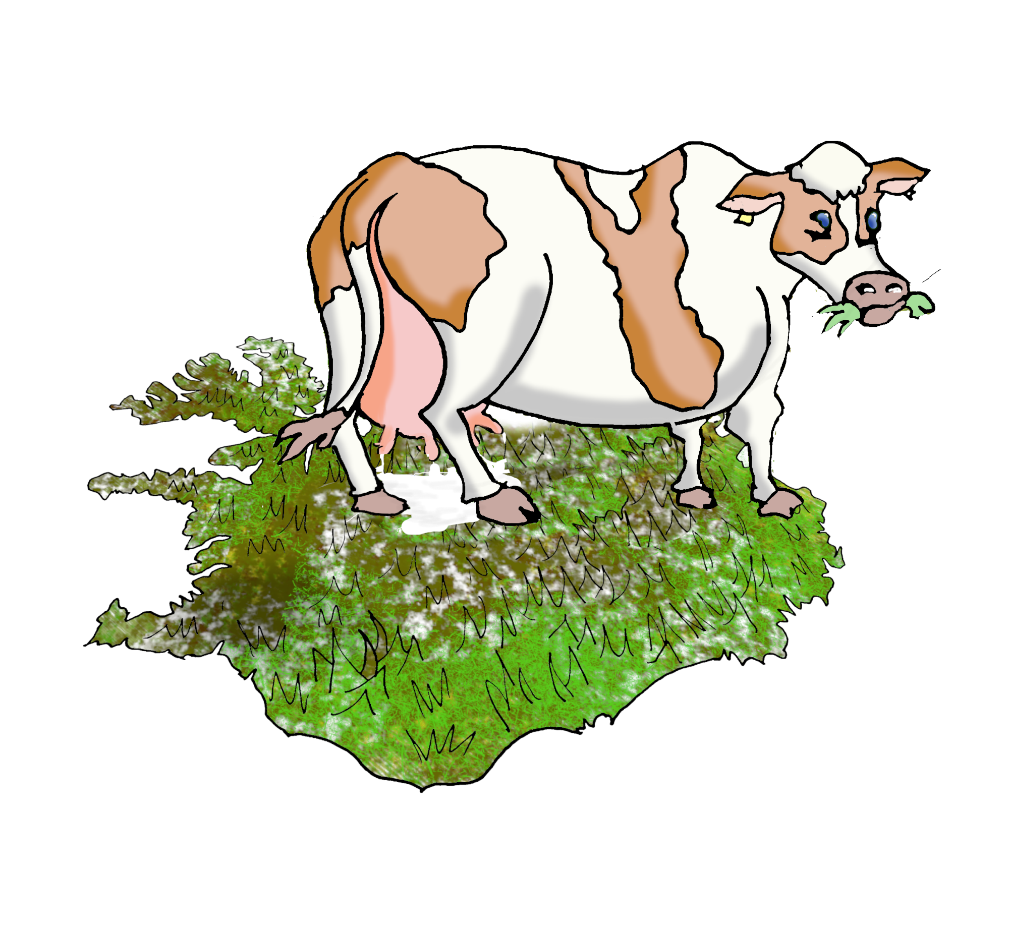 Auður, kvóti, mjólk og skuld