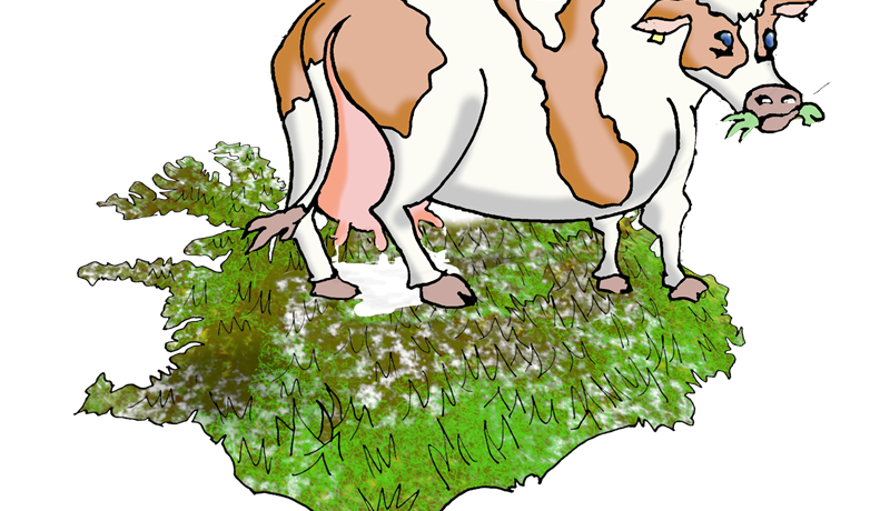 Auður, kvóti, mjólk og skuld