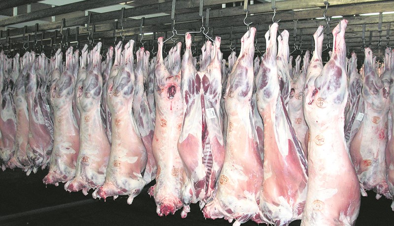 Útflutningsverðmæti sauðfjárafurða nam 3,1 milljarði