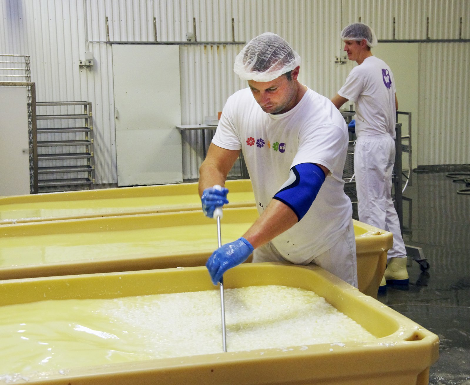 Enginn nýtt sér opna tollkvóta á lífrænt vottaðri mjólk