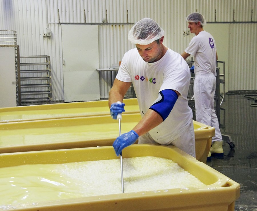 Úr ostavinnslunni hjá Kú.