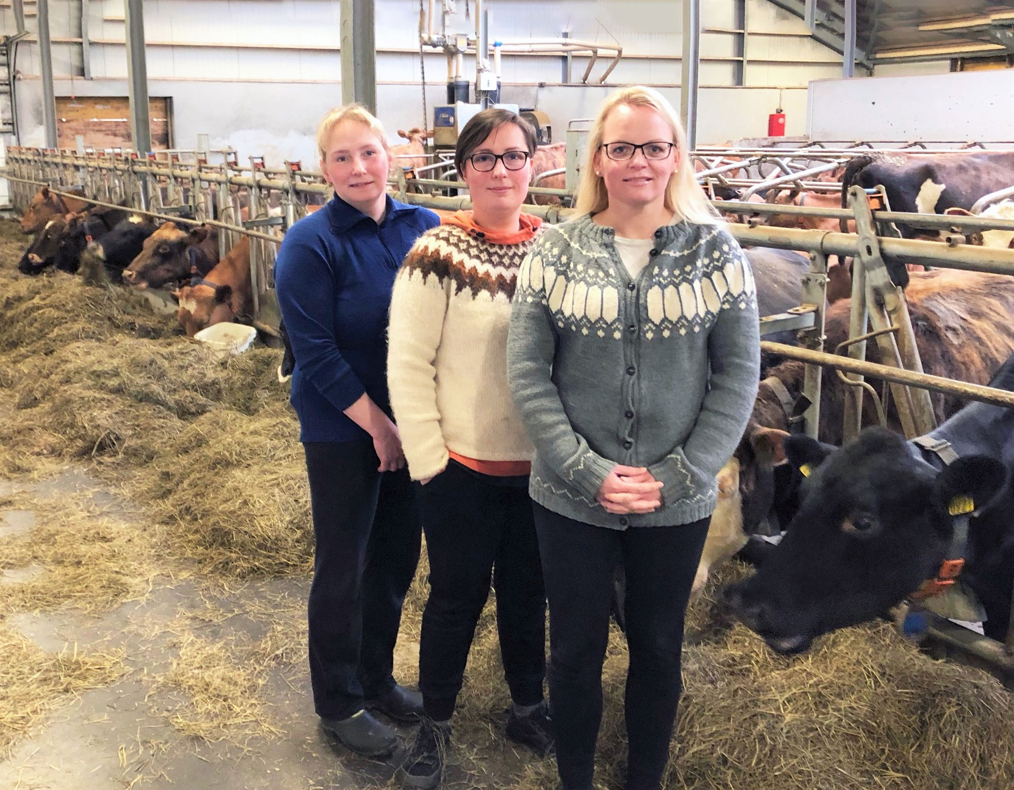 Konur ráða ríkjum í Nautgriparæktarfélagi Eyfellinga