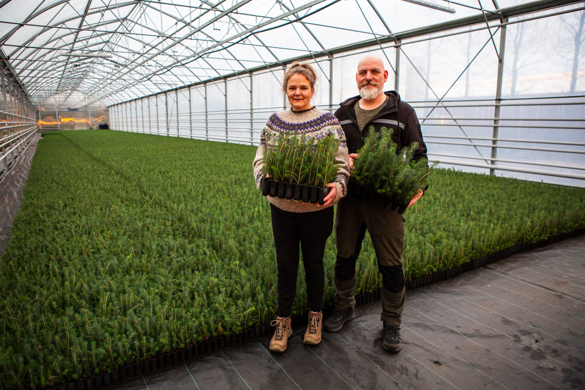 „Tr&#233; eru svo margt“